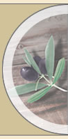 Entrez sur le site des Huiles d'olive Sitia